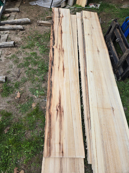 P1 - Huge Poplar Slab!