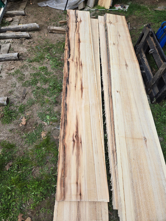 P1 - Huge Poplar Slab!