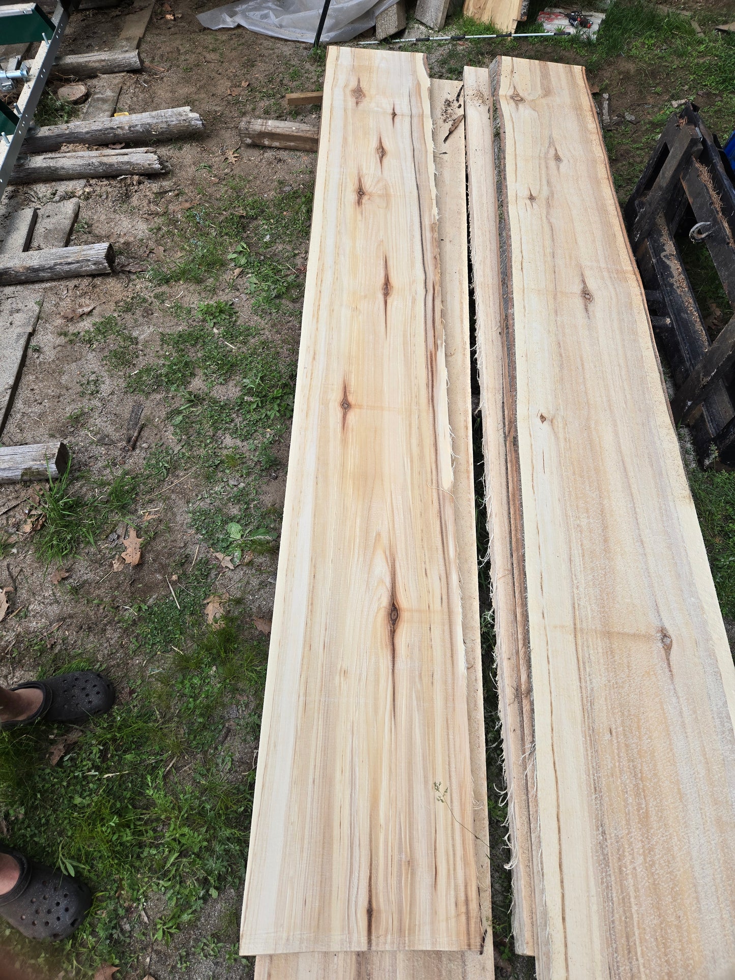P1 - Huge Poplar Slab!