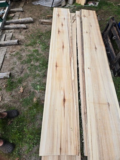 P1 - Huge Poplar Slab!