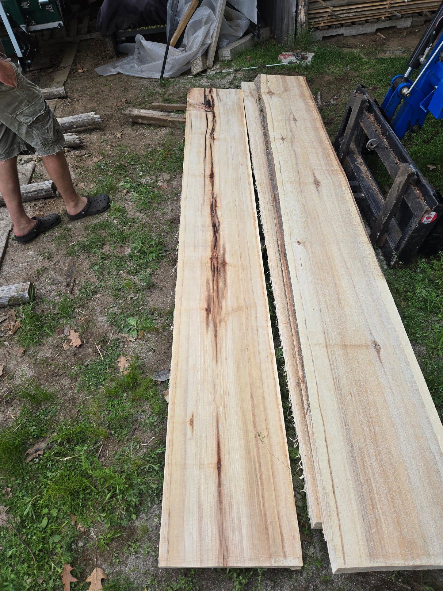 P2 - Huge Poplar Slab!