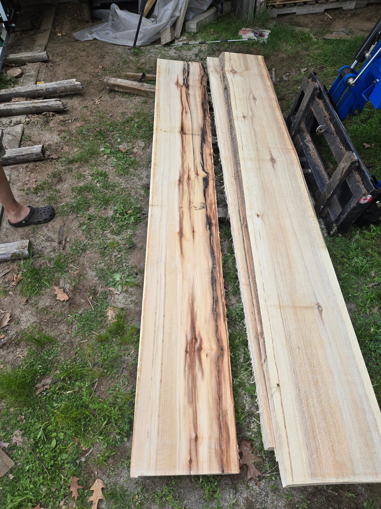 P2 - Huge Poplar Slab!