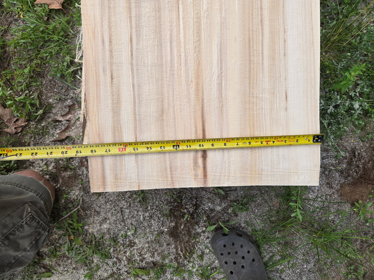 P3 - Huge Poplar Slab!