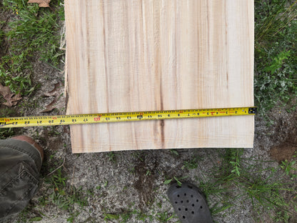 P3 - Huge Poplar Slab!