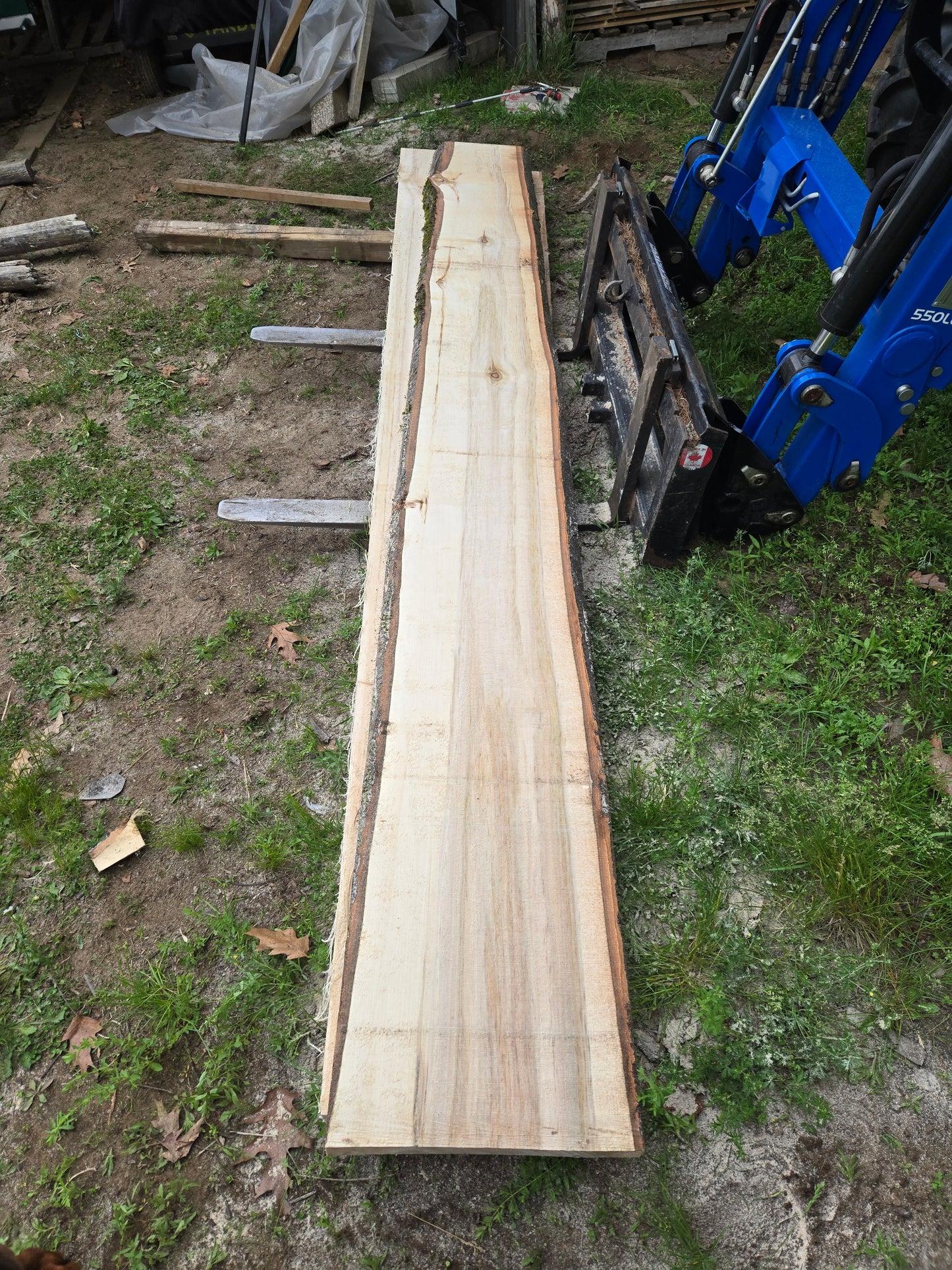 P4 - Huge Poplar Slab!