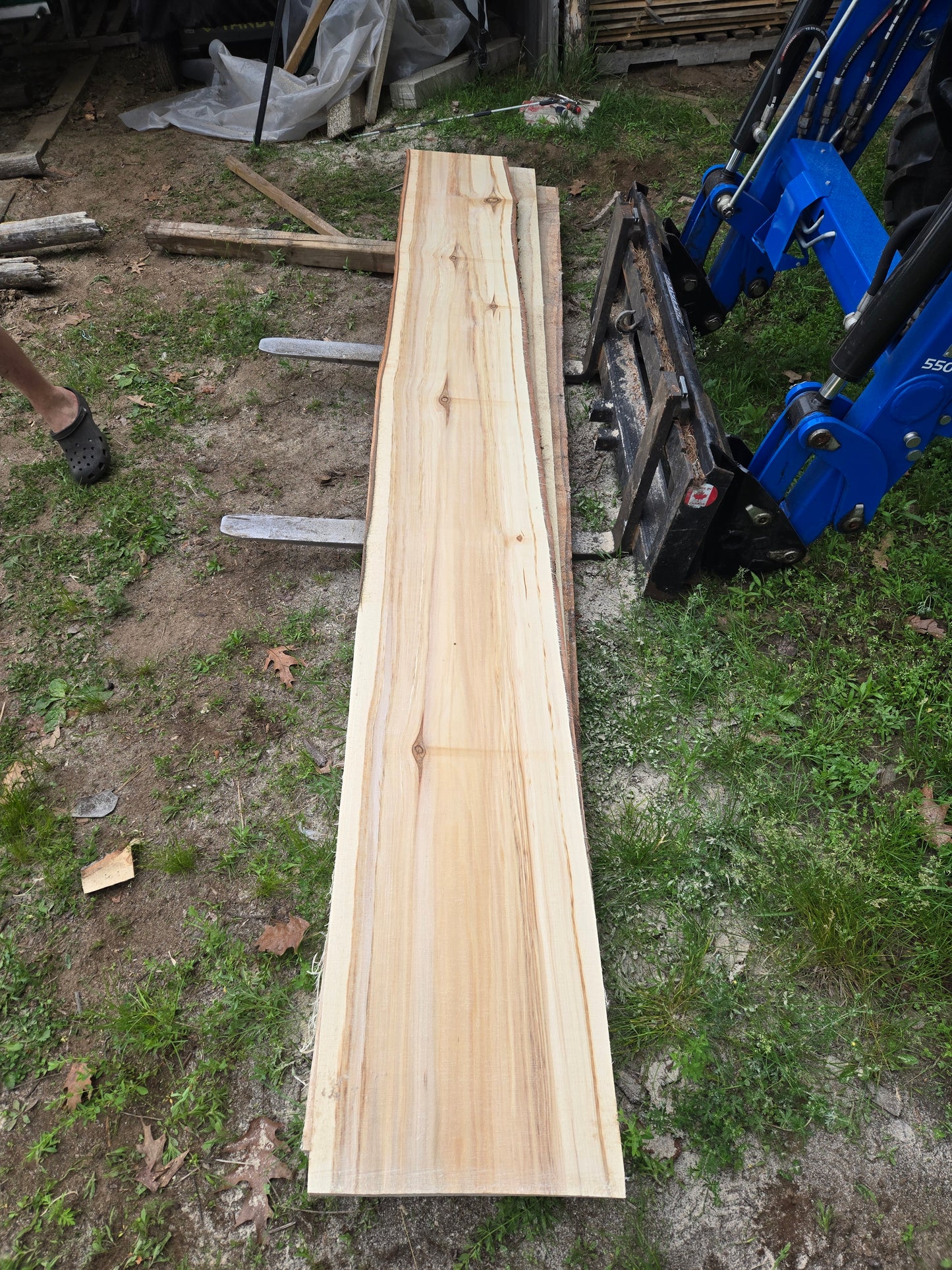 P4 - Huge Poplar Slab!