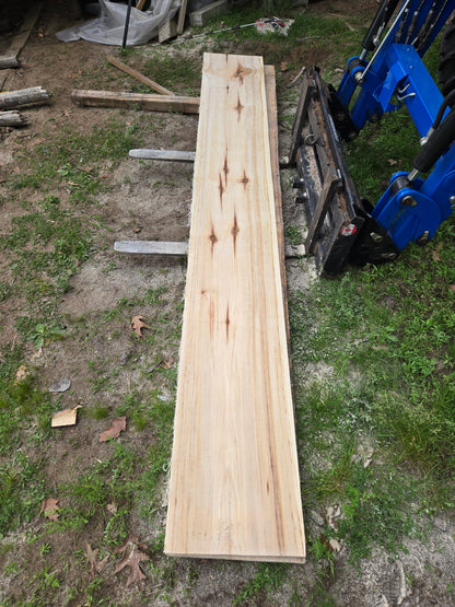 P5 - Huge Poplar Slab!