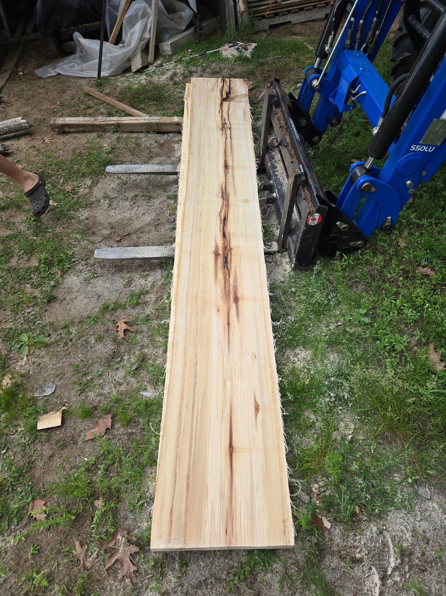 P5 - Huge Poplar Slab!