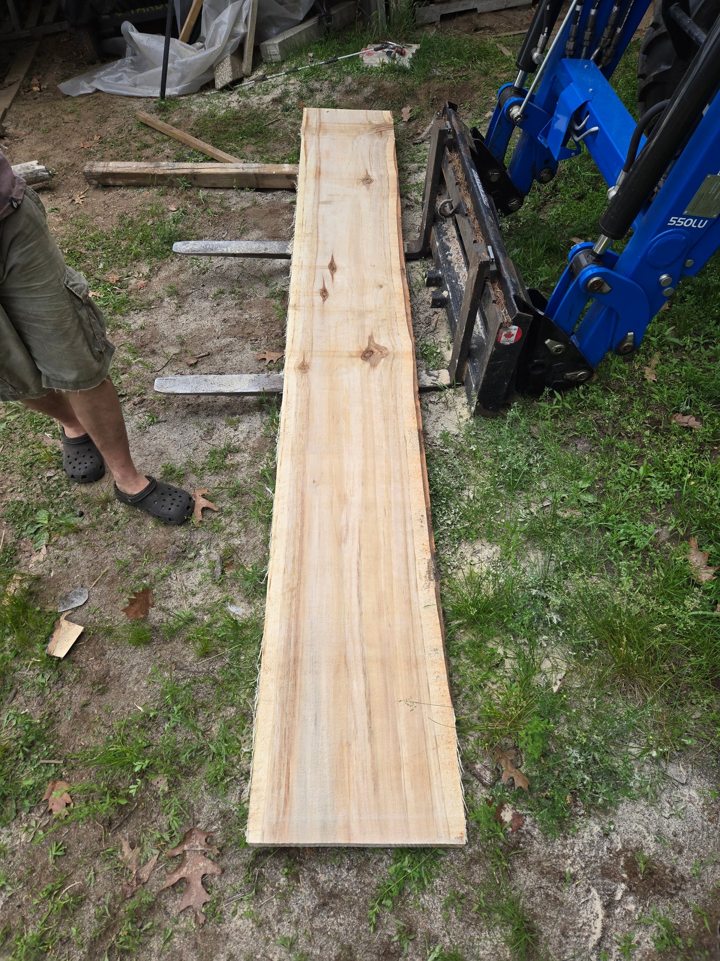 P6 - Huge Poplar Slab!