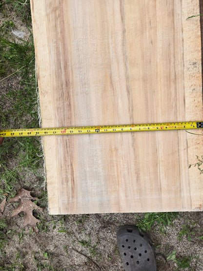 P6 - Huge Poplar Slab!