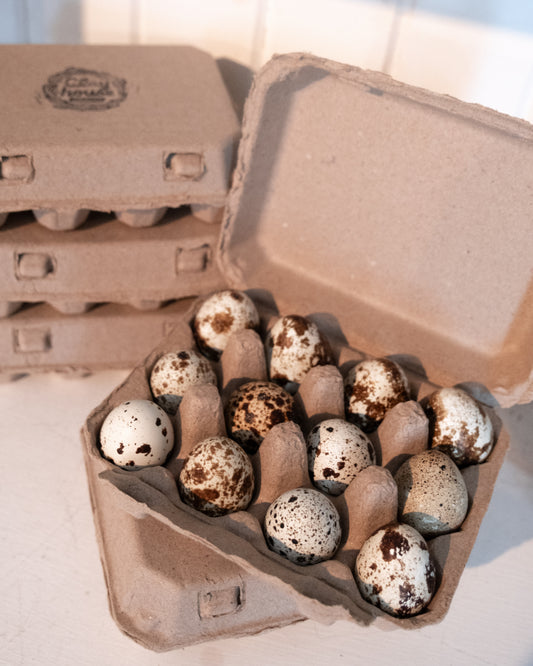 Frozen Quail Eggs - Raw Dog Treat