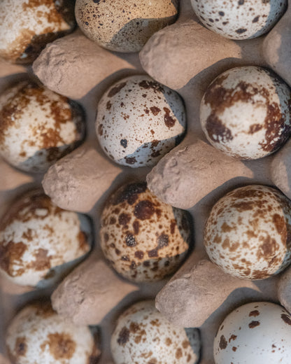 Fresh Quail Eggs